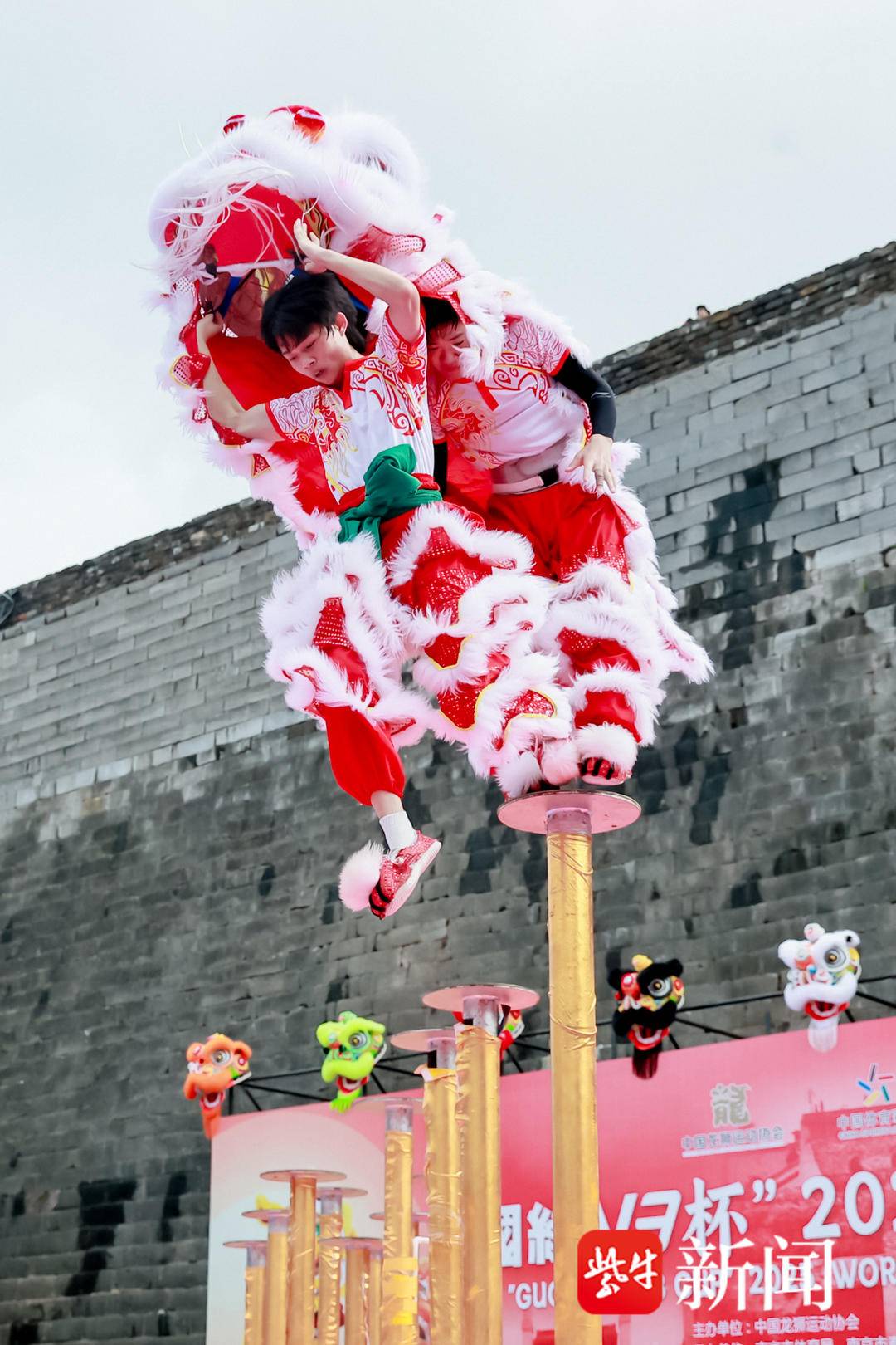 forma, img, 中国龙狮运