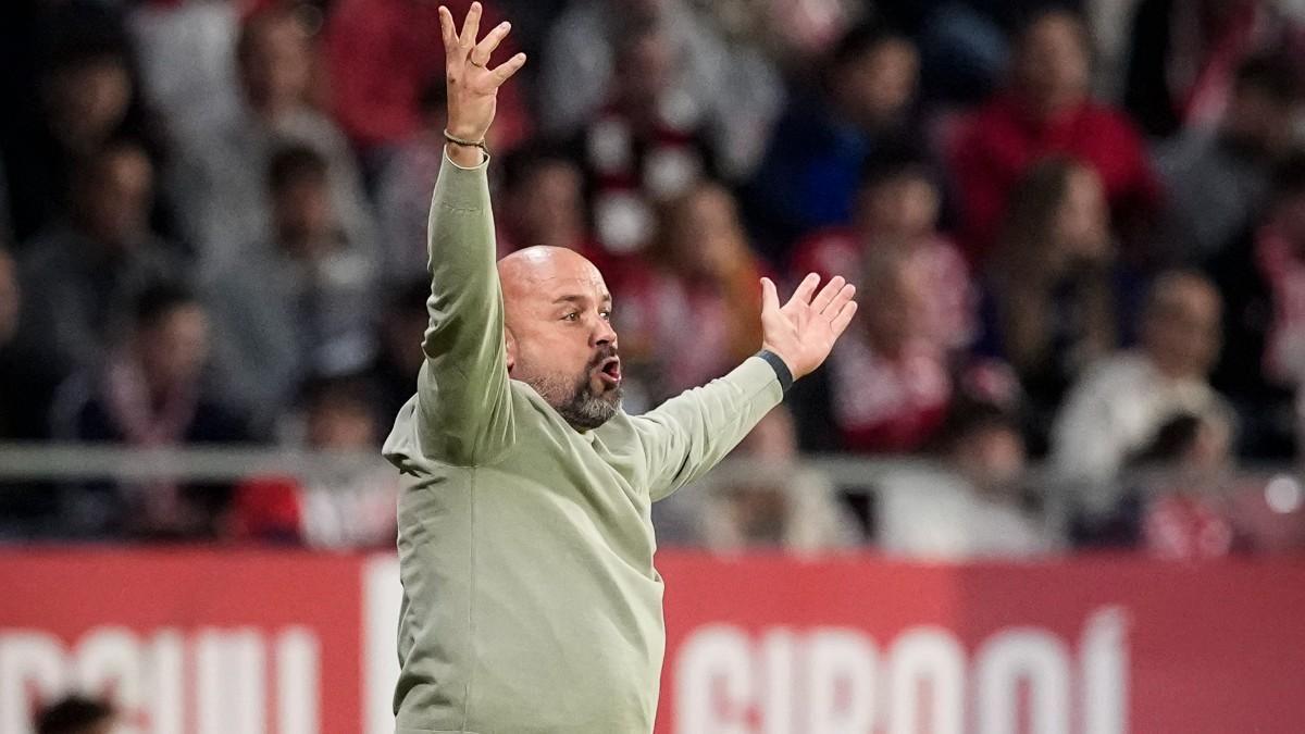 这种平实的 这种平实的